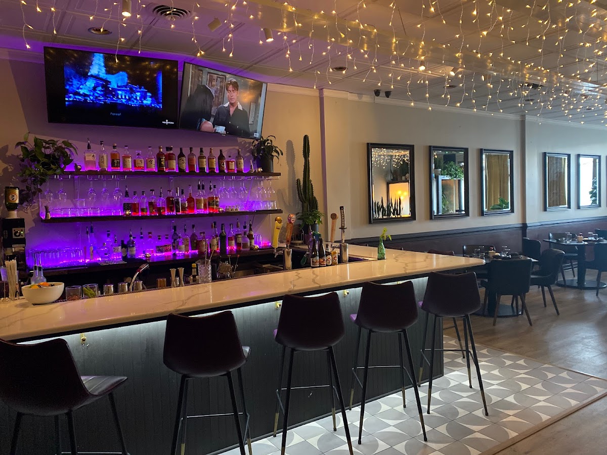 Fighting Fish Scott’S Addition